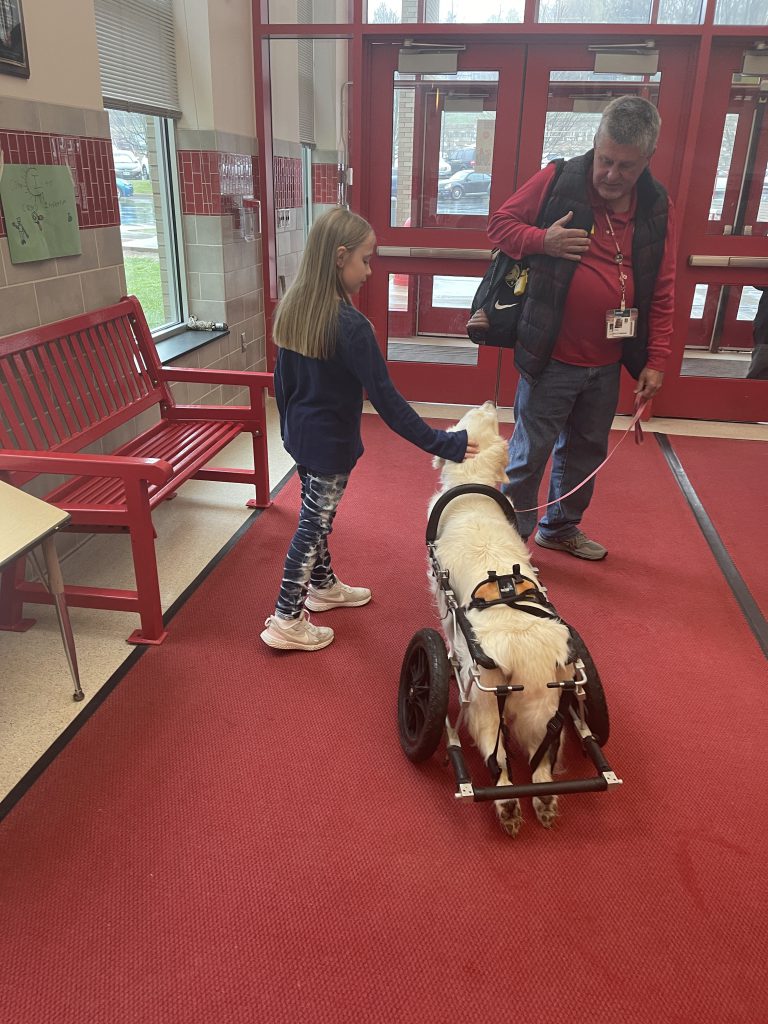 A girl pets a therapy dog at the elementary school entrance