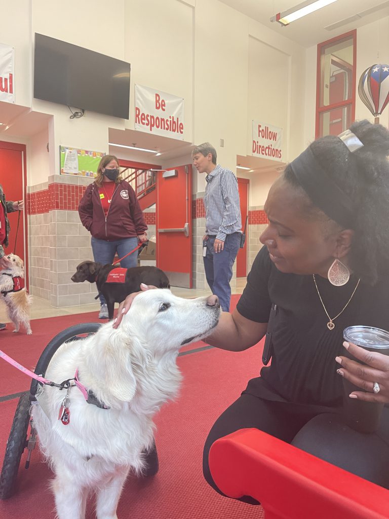 A woman pets a therapy dog