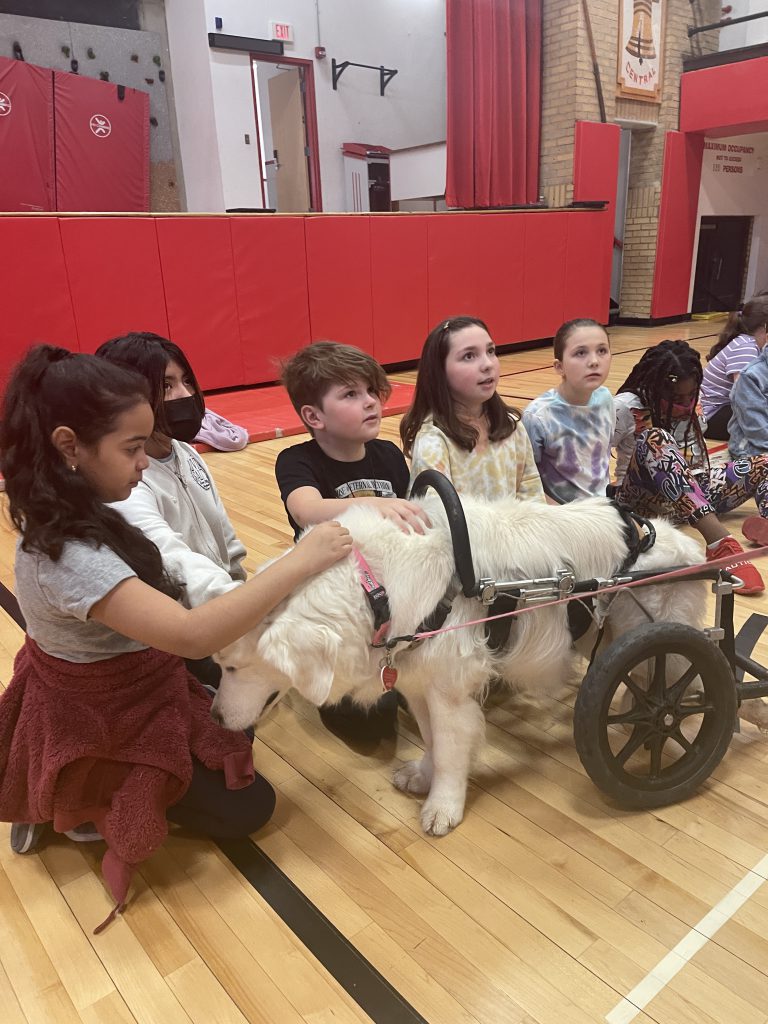 Children pet a therapy dog