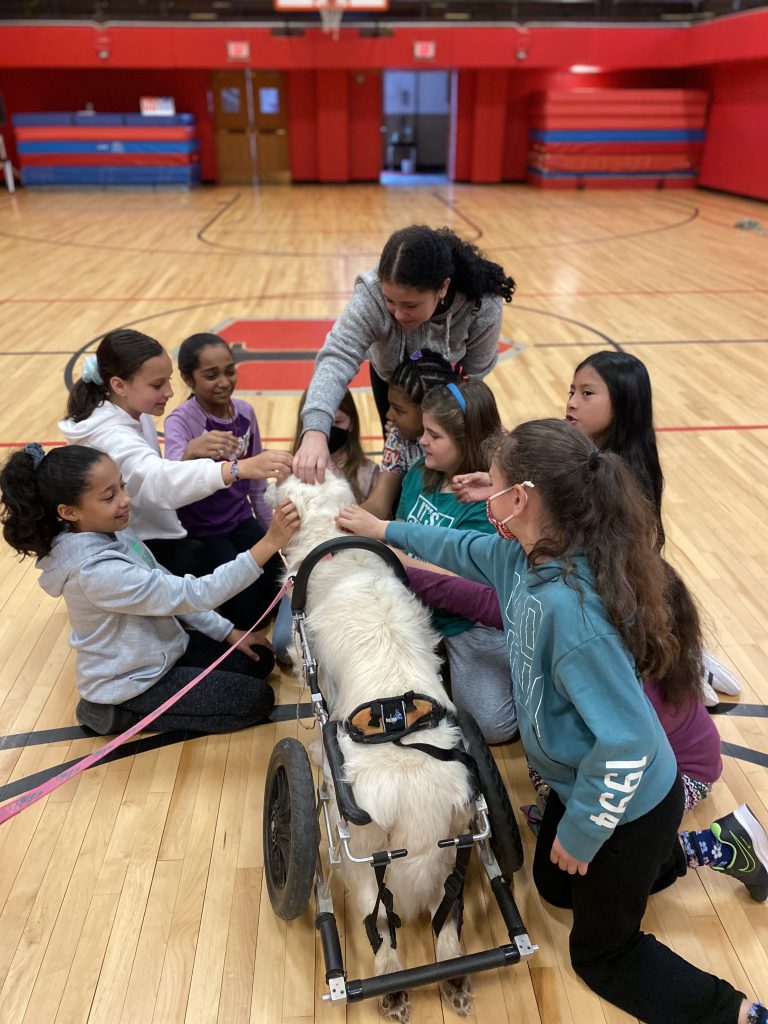 children pet a therapy dog 