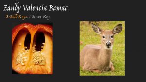 On a black background a depiction of the inside of a pepper at left and a closeup of a deer lying in the grass at right with Zandy Valencia Bamac three gold keys, one silver key written above