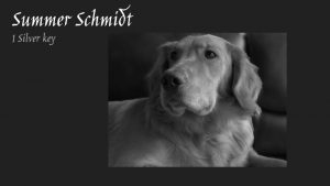 On a black background a black and white depiction of a dog with Summer Schmidt 1 silver key written to above and to the left.