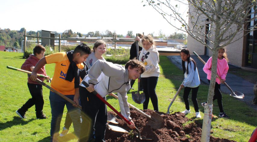 Student pause while filling dirt around at tree to smile for the camera