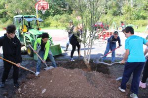 Students backfill a newly planted tree