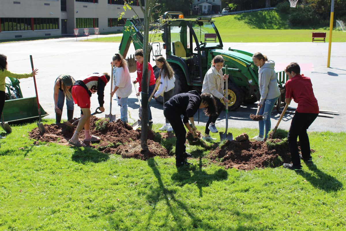 Students backfill dirt onto a new planted tree