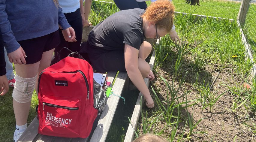 A student works in a garden bed as other students watch