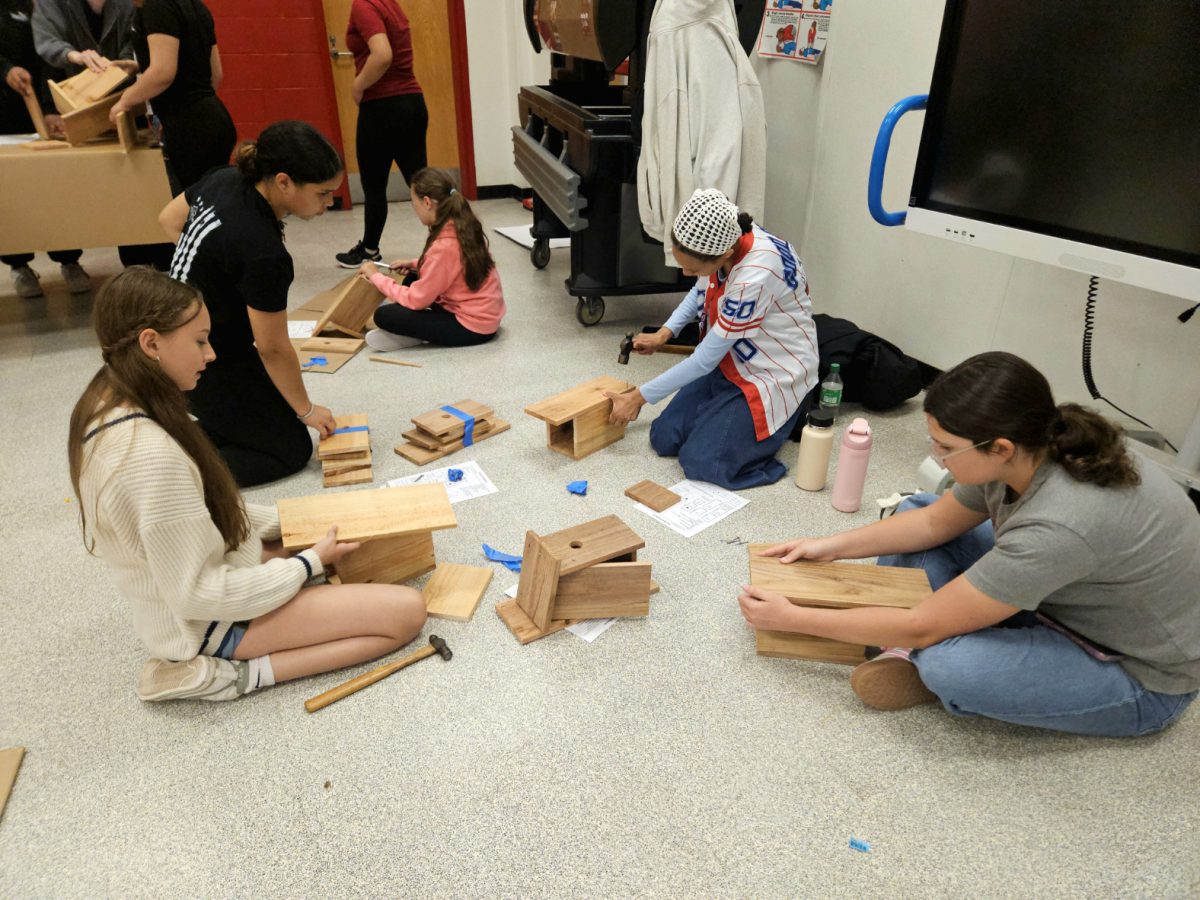 LMS Junior Honor Society member spearheads woodworking project ...