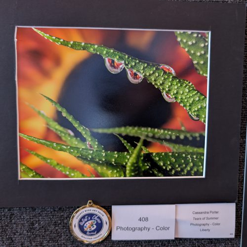 Cassandra - photography A color photo on a backing board