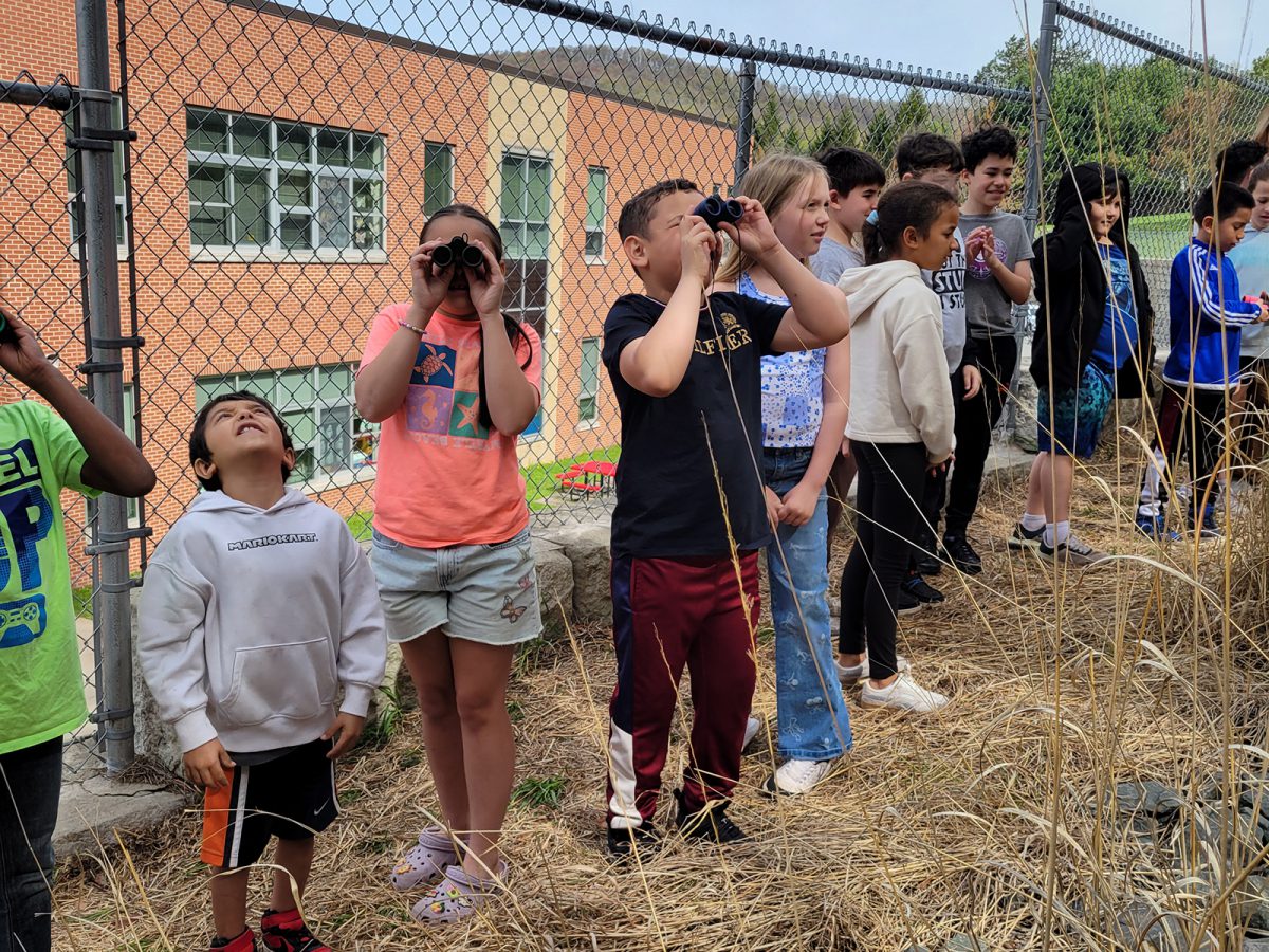 A group of children stand in a line, looking through binoculars at something in the distance.